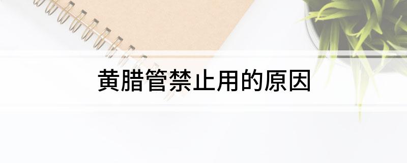 龙8国际 龙8官网黄腊管禁止用的原因(图1)