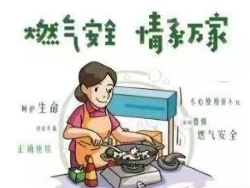 关于更换燃龙8国际 龙八国际气连接软管和燃气具的倡议书(图1)