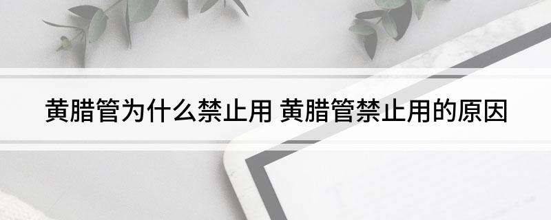 龙8国际 龙8平台黄腊管为什么禁止用 黄腊管禁止用的原因(图1)
