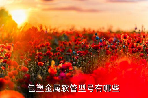 金属软管规格型号金属龙8国际 龙8平台软管的规格有哪些急用啊(图3)