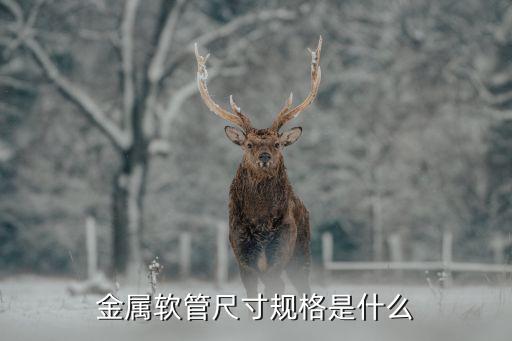 金属软管规格型号金属龙8国际 龙8平台软管的规格有哪些急用啊(图2)