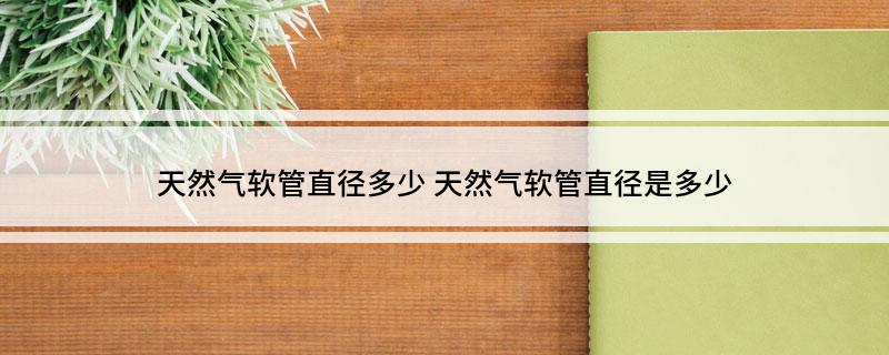 龙8国际 龙8官网天然气软管直径多少(图1)